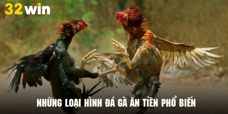 Những trận đá gà ăn tiền phổ biến nhất hiện nay