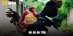 Đá Gà Ăn Tiền - Thông Tin Chi Tiết Và Hướng Dẫn Cụ Thể