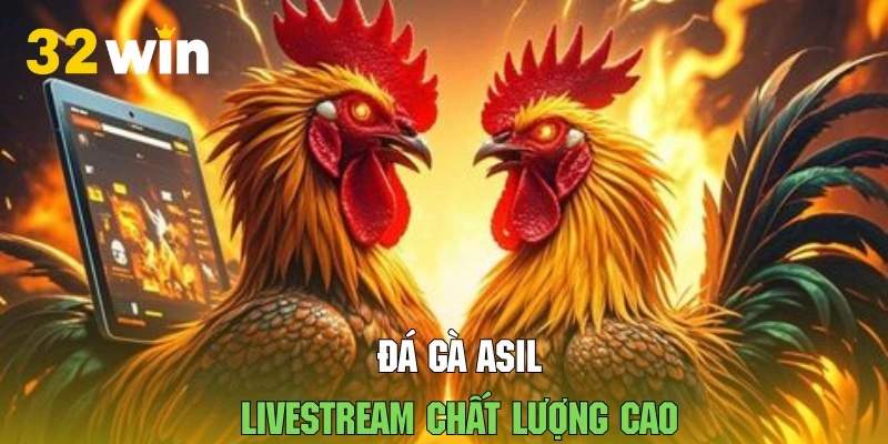 Hệ thống livestream ổn định mang đến chất lượng hình ảnh tốt