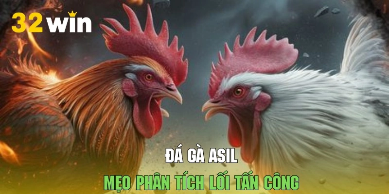 Hội viên nên phân tích lối chơi chiến kê để dự đoán chuẩn nhất