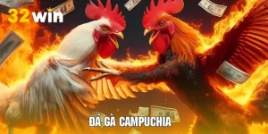 Đá Gà Campuchia 32WIN Chuyên Nghiệp Với Trường Đấu Lớn