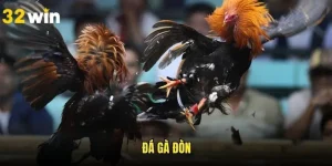 Đá Gà Đòn - Hình Thức Truyền Thống Đắt Khách Nhất