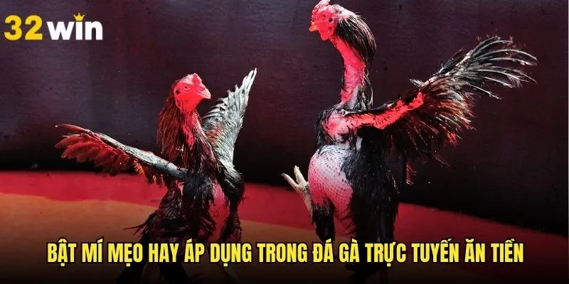 Tuyệt chiêu luôn ăn lớn trong kèo đá gà trực tuyến
