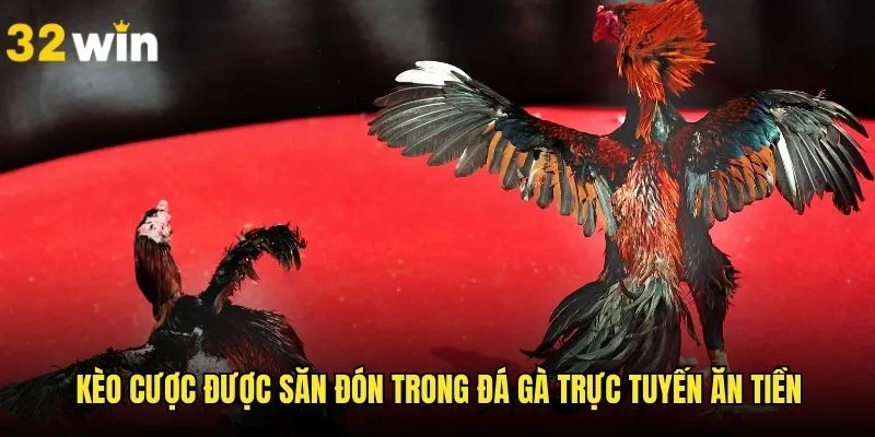 Tổng hợp những cửa kèo được hội viên tìm đến nhiều nhất