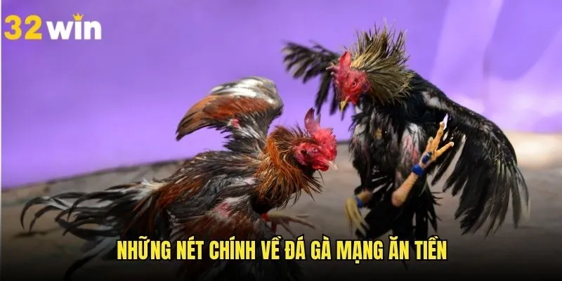 Khái quát những nét chính về đá gà mạng ăn tiền
