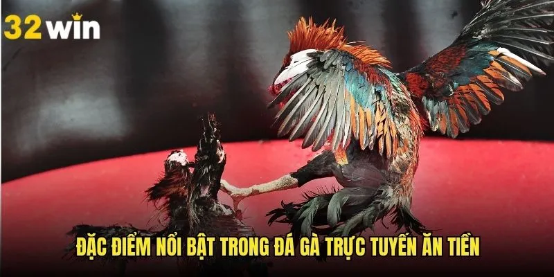 Những điểm mạnh vượt bậc khi tham gia chọi gà đổi thưởng