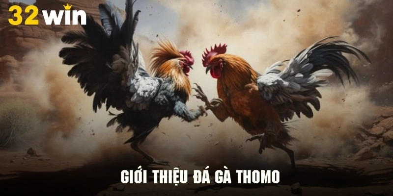 Giới thiệu tổng quan về đấu gà thomo online 32WIN