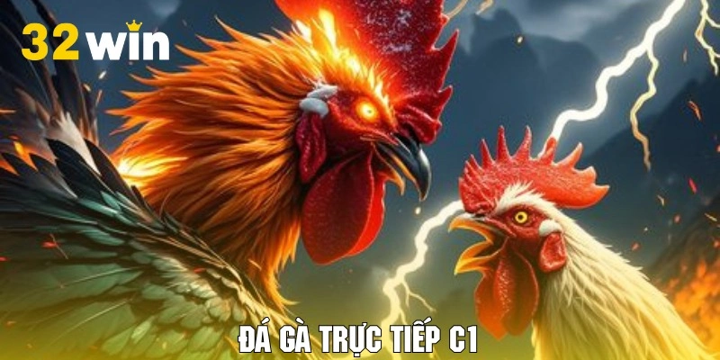 Giới thiệu hình thức giải trí cá cược đá gà trực tiếp C1