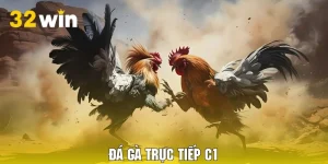 Đá Gà Trực Tiếp C1 - Khám Phá Đấu Trường Chuyên Nghiệp 2025