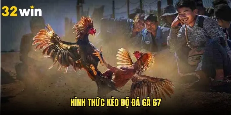 Tổng hợp những hình thức chọi được tổ chức trên nền tảng